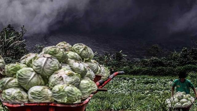 Sinabung Yanardağı çevre köylere zarar vermeye başladı