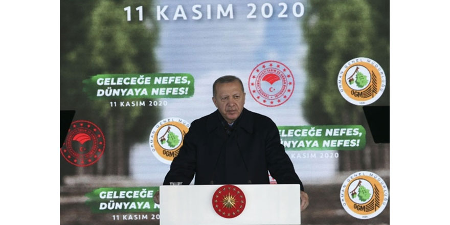 Erdoğan, "Geleceğe nefes, dünyaya nefes programı"na katıldı