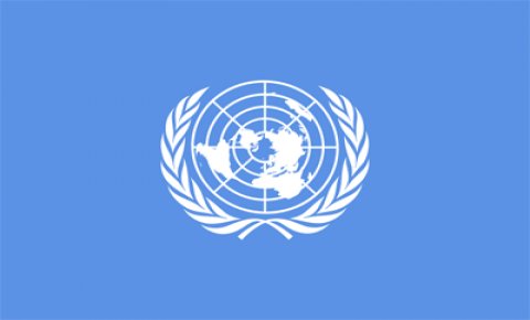 BM insan hakları uzmanları Arakan'daki şiddeti kınadı